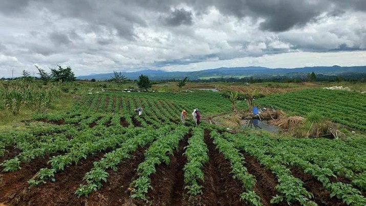 kabarsatunusantara.com